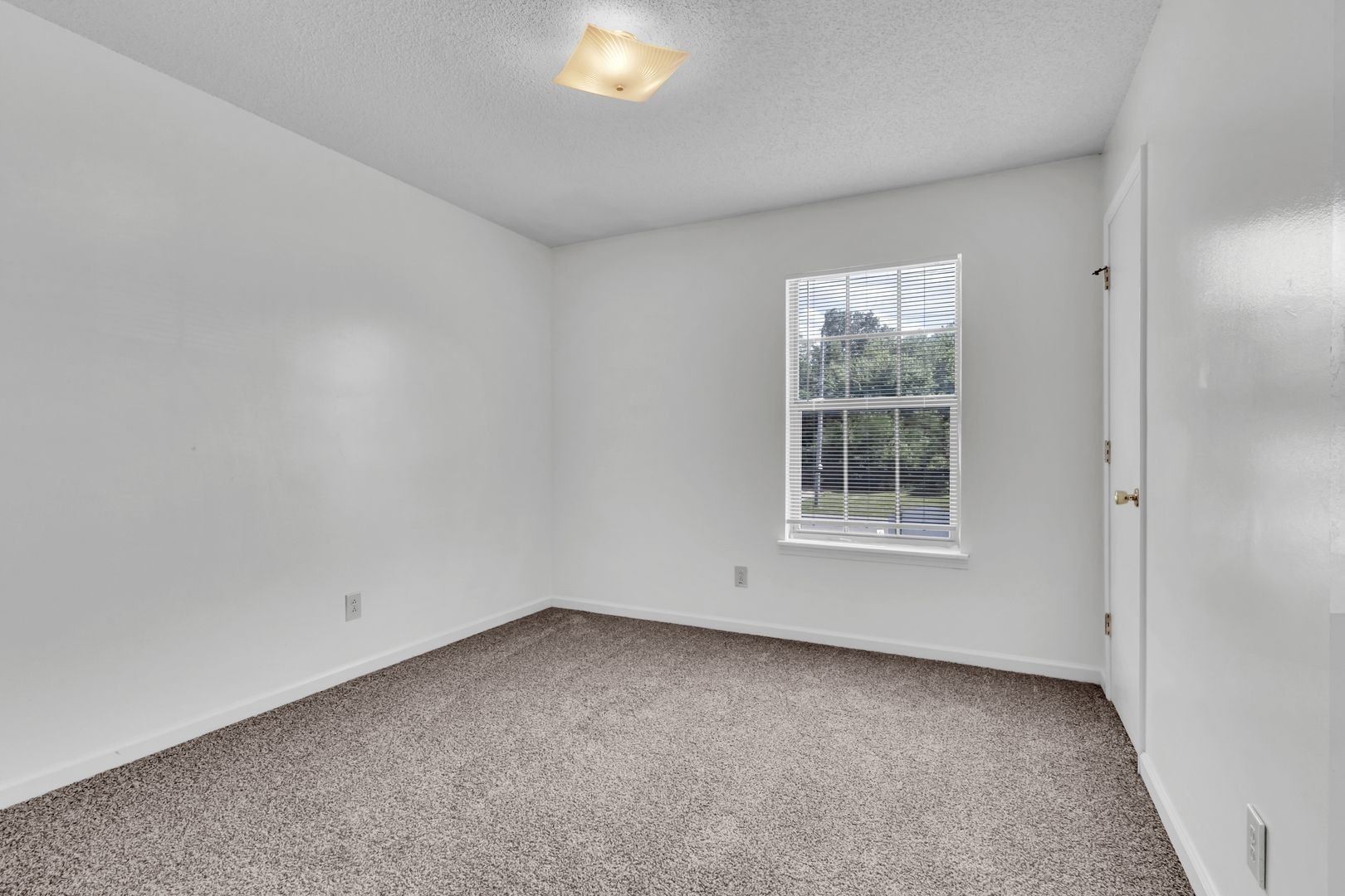 293 State Line Road Oak Grove, KY 42262 - Photo 12 of 18 Gallery Image 12