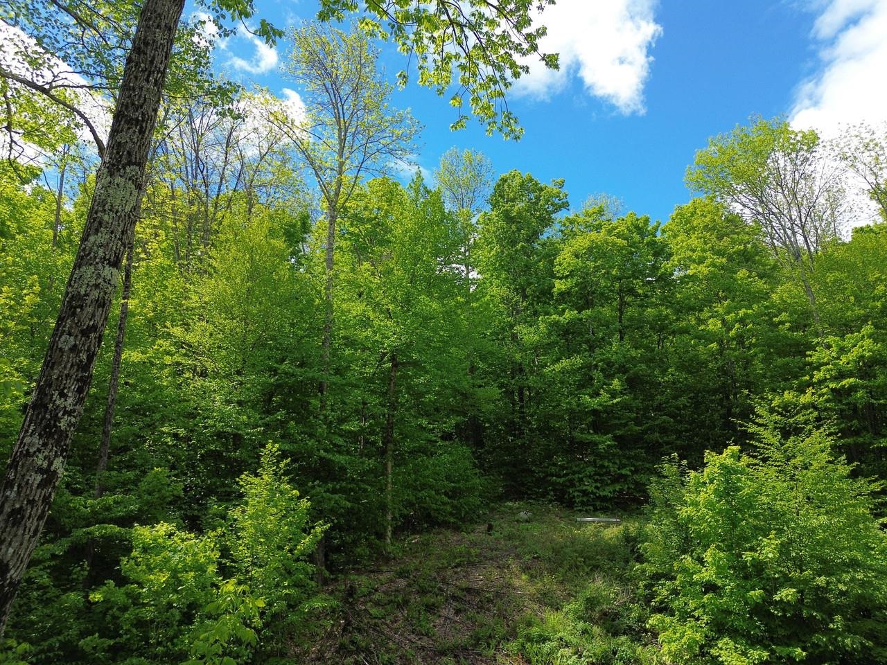 197 Sugar Ledge Road, Unit 4 Warren, VT 05674 - Photo 2 of 17