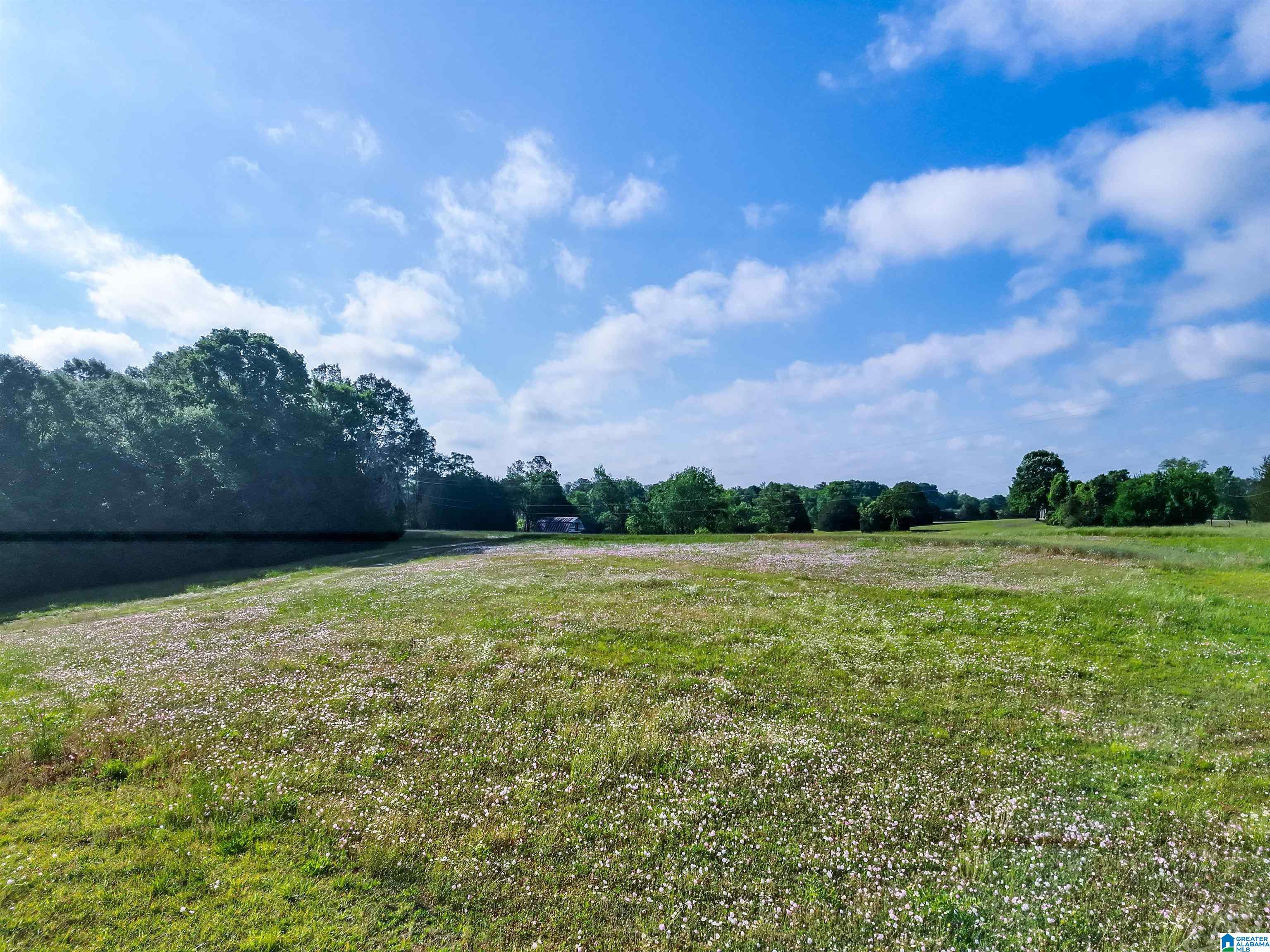 80 Brady Road, Unit 1 Hope Hull, AL 36043 - Photo 1 of 20