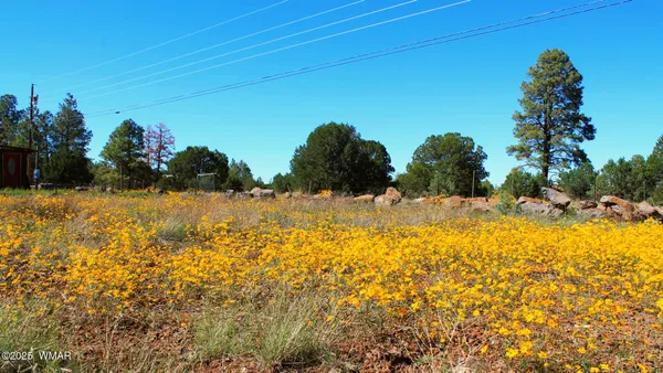 $68,000 | 2966 Johnson Street, Lakeside, AZ 85929