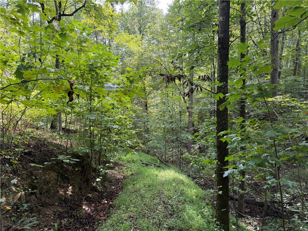 0 Fuller Mountain Road Fairmount, GA 30139 - Photo 2 of 14 Gallery Image 2