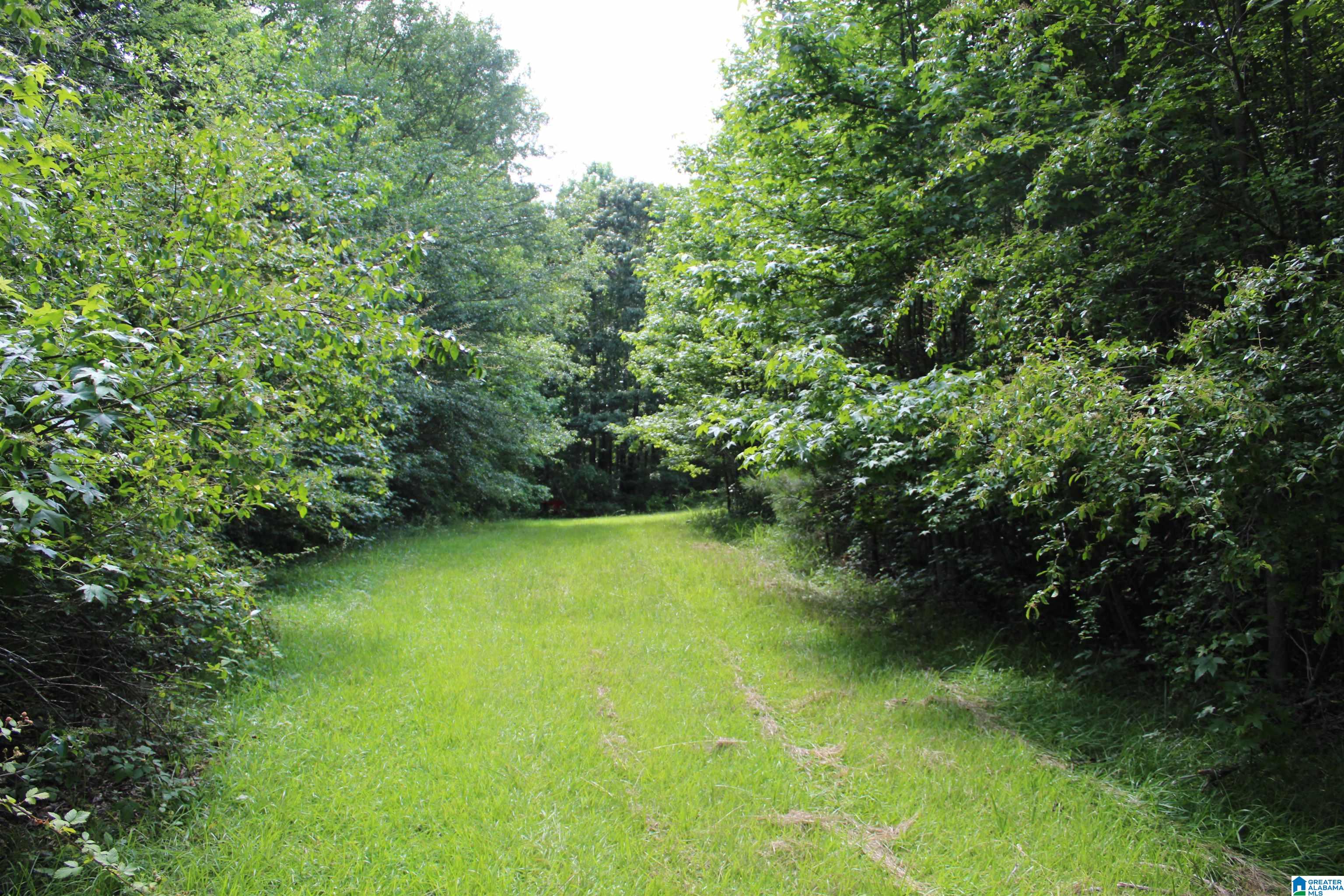 1530 Red Hill School Road Empire, AL 35063 - Photo 46 of 48