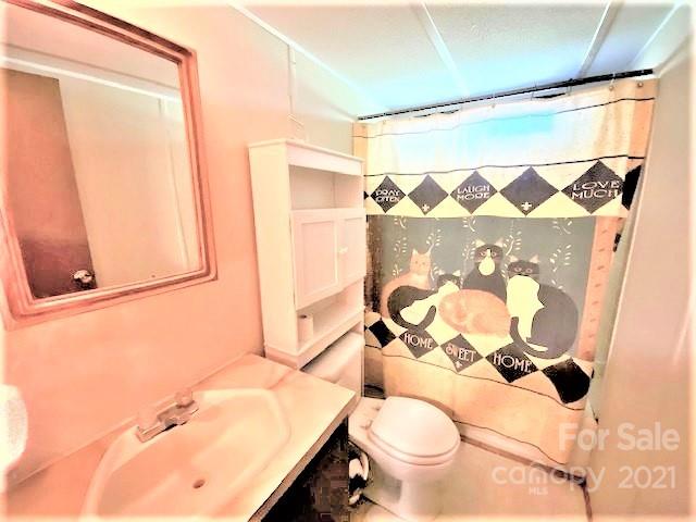 694 Cedar Lane Road Jefferson, SC 29718 - Photo 21 of 28 Gallery Image 21