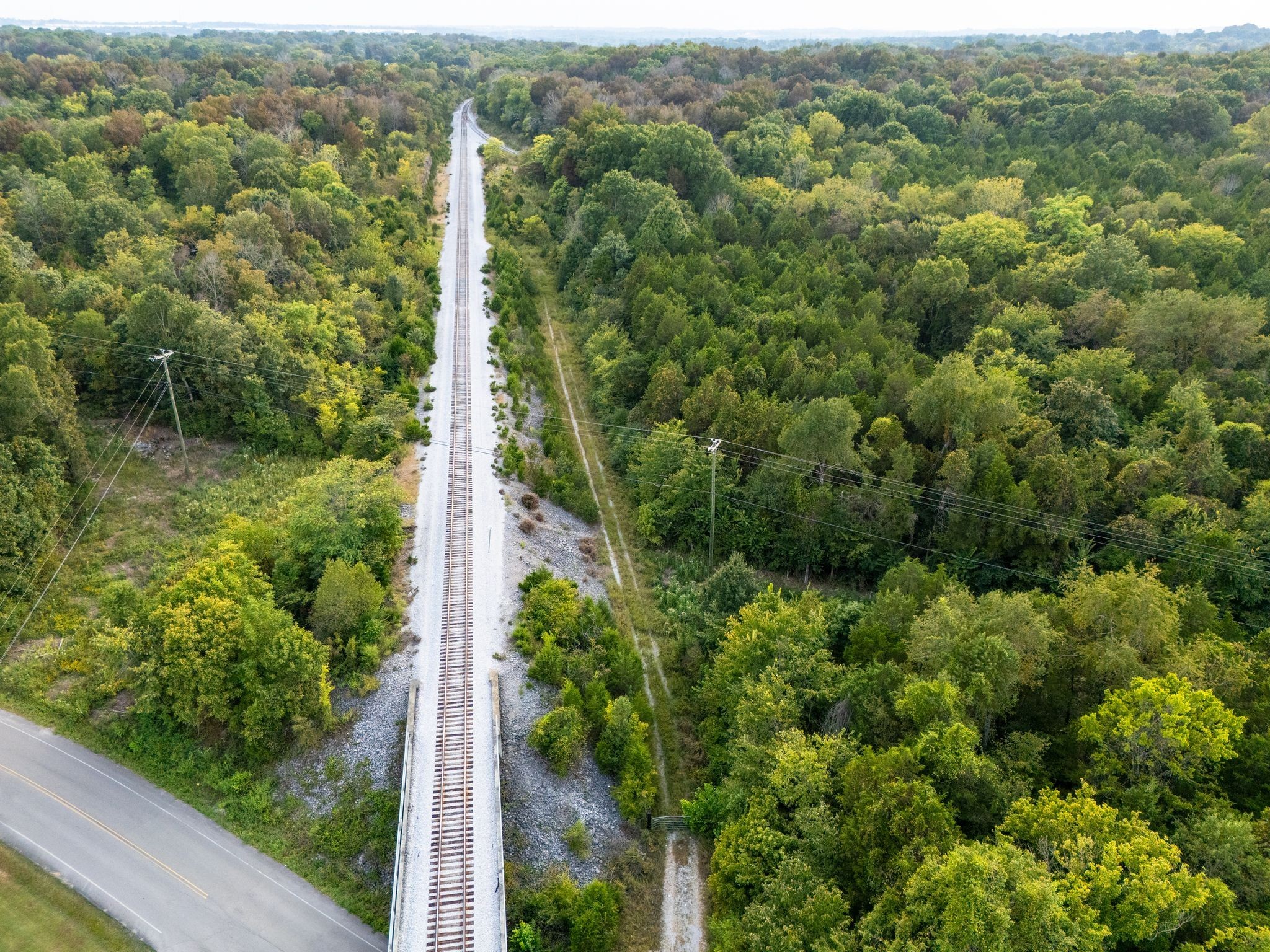 1054 Quarry Road Mount Juliet, TN 37122 - Photo 14 of 20 a view of a forest with a small yard