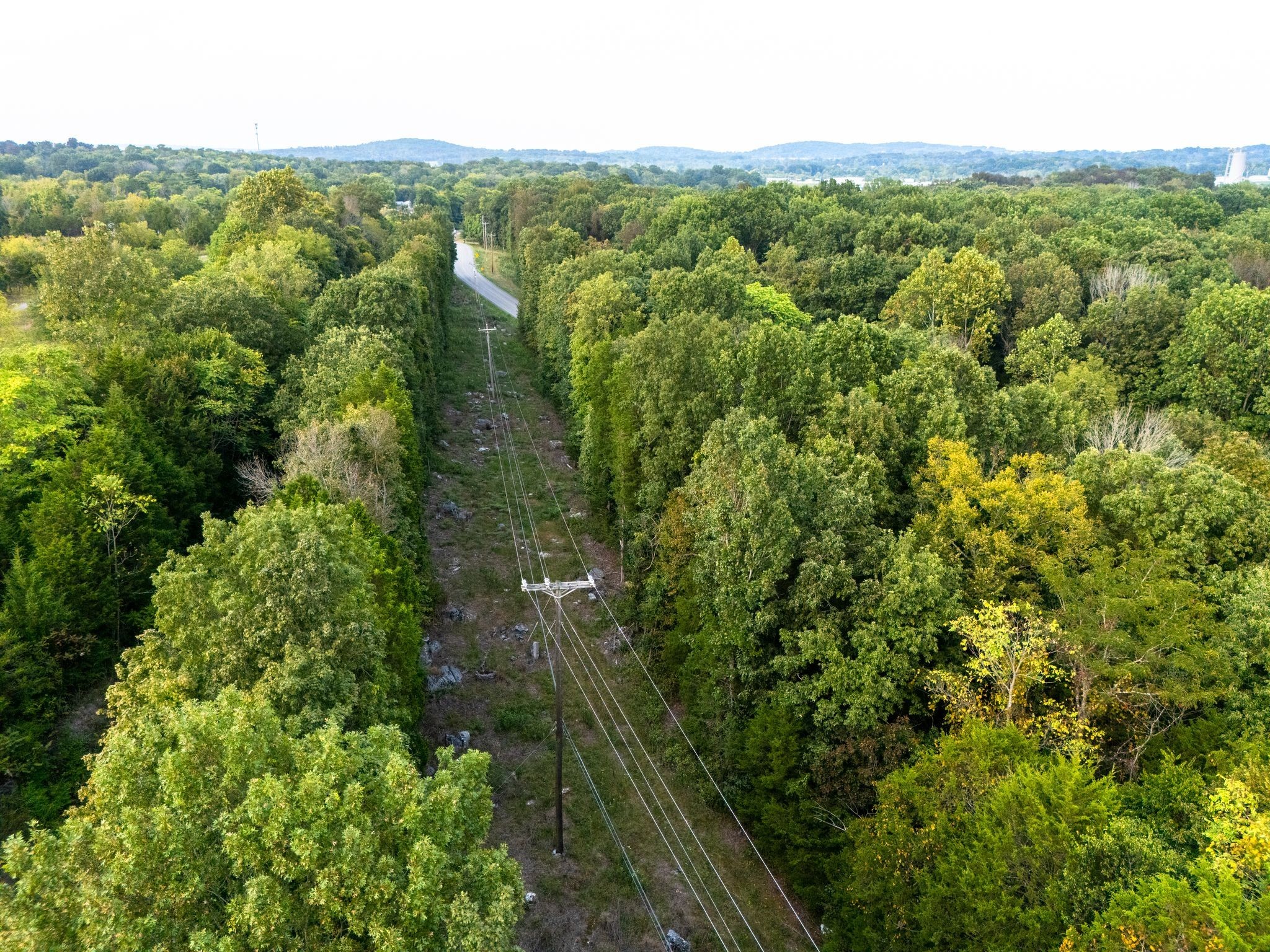1054 Quarry Road Mount Juliet, TN 37122 - Photo 18 of 20 an aerial view of residential houses with outdoor space and trees