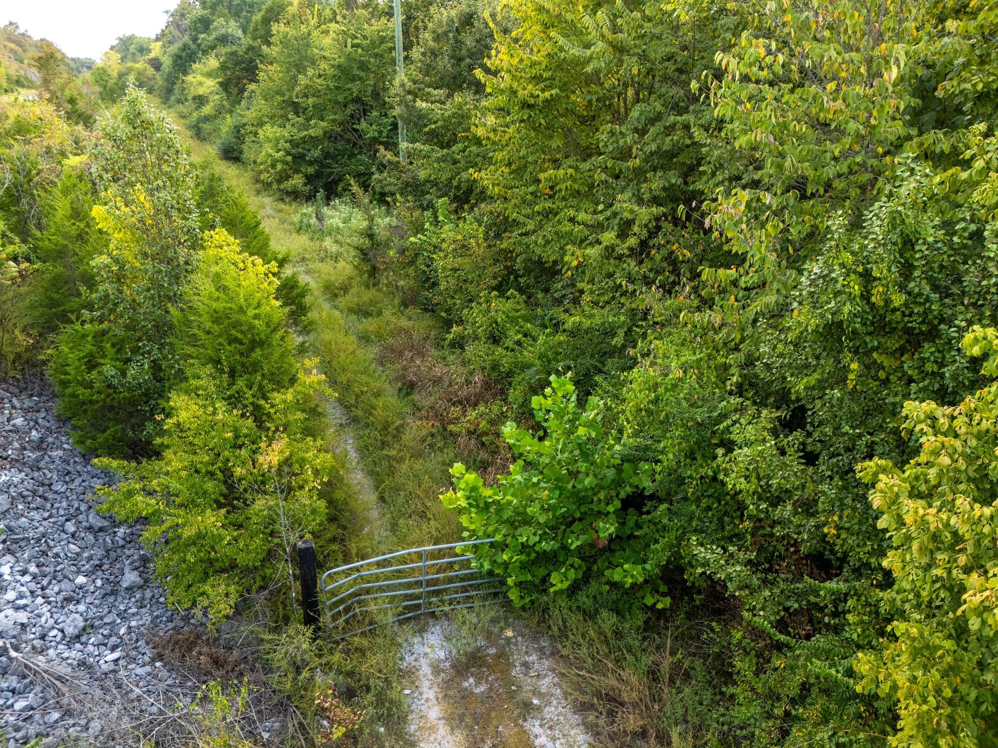 1054 Quarry Road Mount Juliet, TN 37122 - Photo 20 of 20 a view of outdoor space and yard