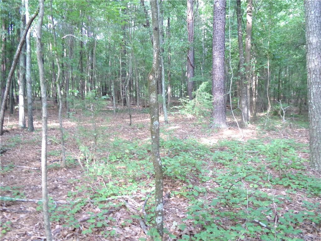 35-ac Youth Jersey Road Covington, GA 30014 - Photo 33 of 43