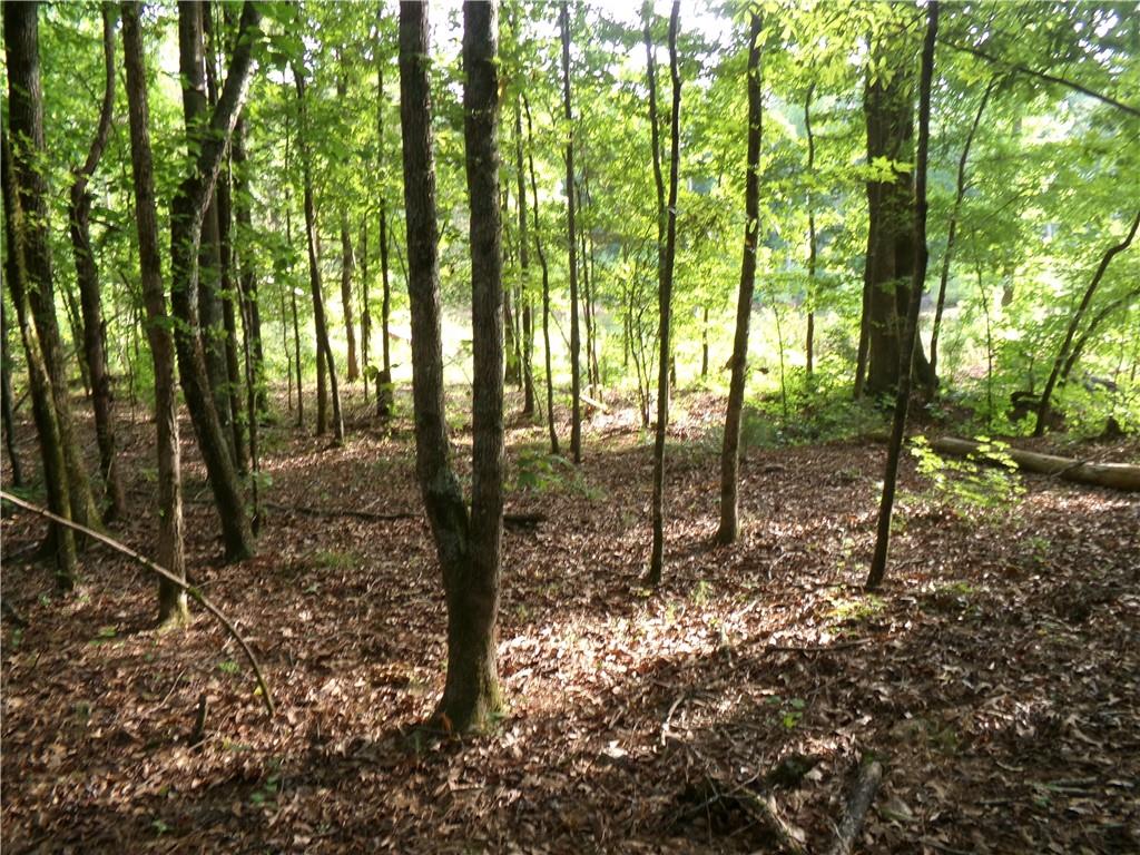 35-ac Youth Jersey Road Covington, GA 30014 - Photo 34 of 43