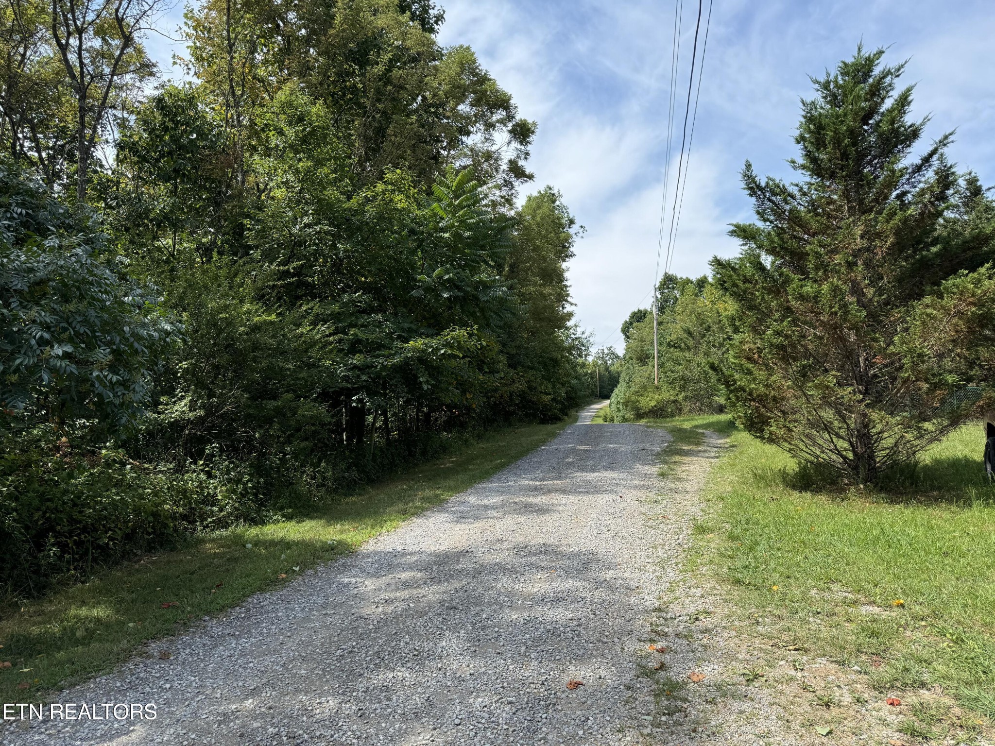 70844 Key Ridge Road Crawford, TN 38554 - Photo 3 of 18 Gallery Image 3