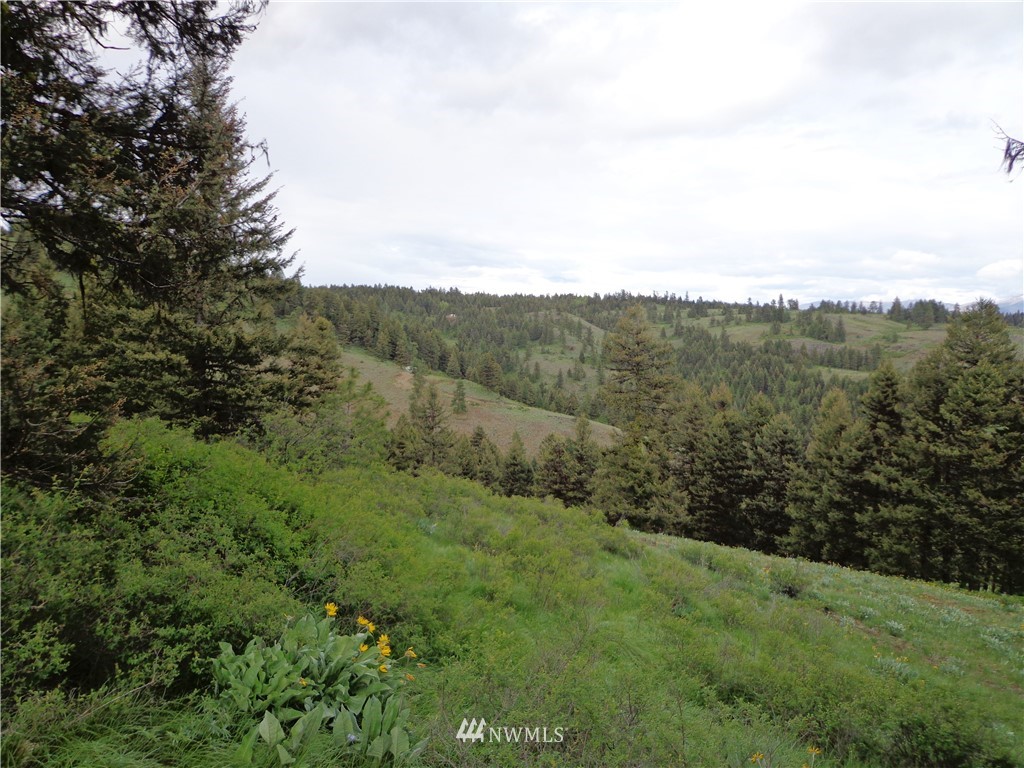 44 East Knob Hill Road Republic, WA 99166 - Photo 2 of 6