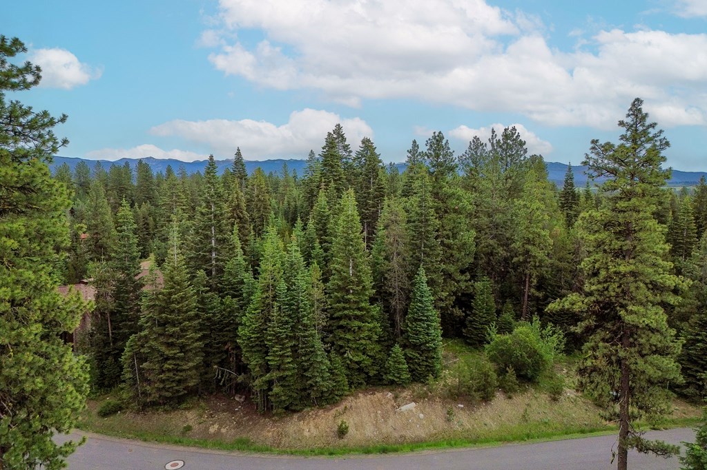 431 Timbercrest Loop, Unit 4 McCall, ID 83638 - Photo 20 of 28