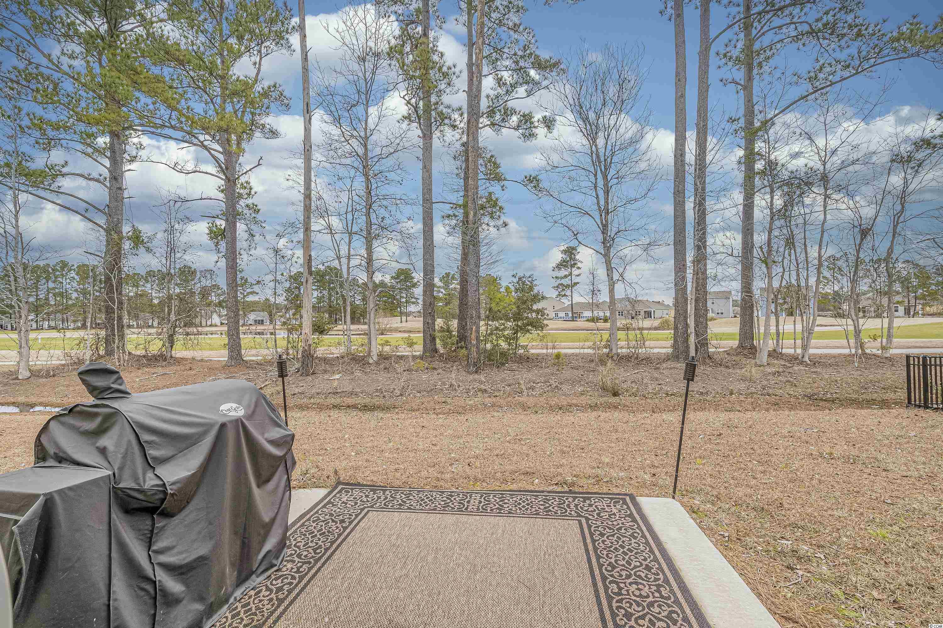 2071 Borgata Loop Longs, SC 29568 - Photo 34 of 40 Gallery Image 34