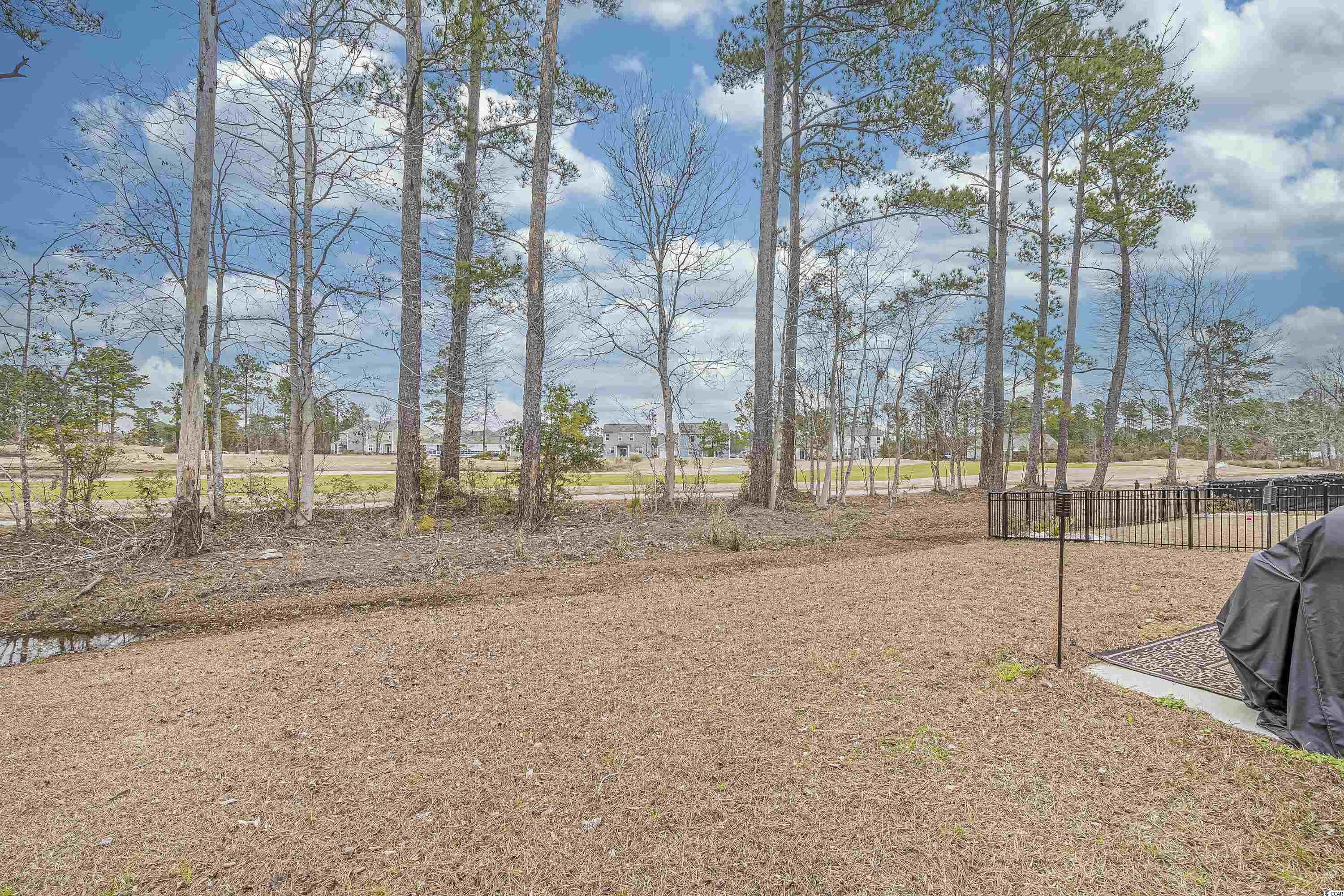 2071 Borgata Loop Longs, SC 29568 - Photo 37 of 40 Gallery Image 37