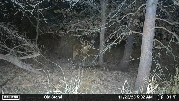 $45,000 | 0 Highway 21 Byron Wi 54666, Tomah, WI 54660