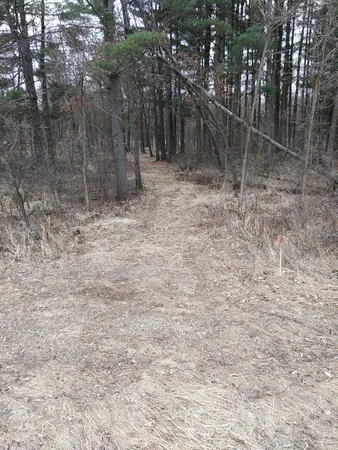 $45,000 | 0 Highway 21 Byron Wi 54666, Tomah, WI 54660