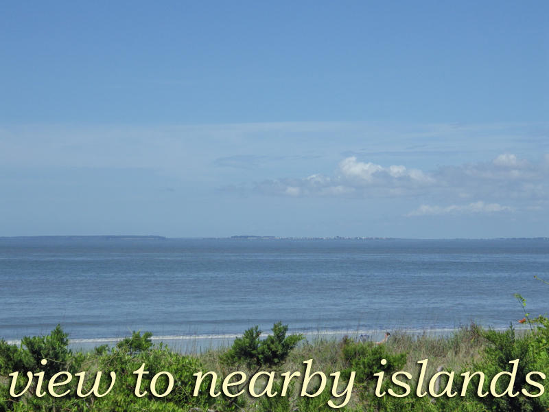 3103 Point Street Edisto Island, SC 29438 - Photo 28 of 41 24 3103 Point Street-6