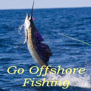 3103 Point Street Edisto Island, SC 29438 - Photo 32 of 41 offshore fishin