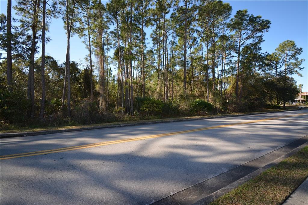 209 Fort Florida Road DeBary, FL 32713 - Photo 1 of 1 Lot Front View Fort Florida Rd (Frontage - 169 LF)