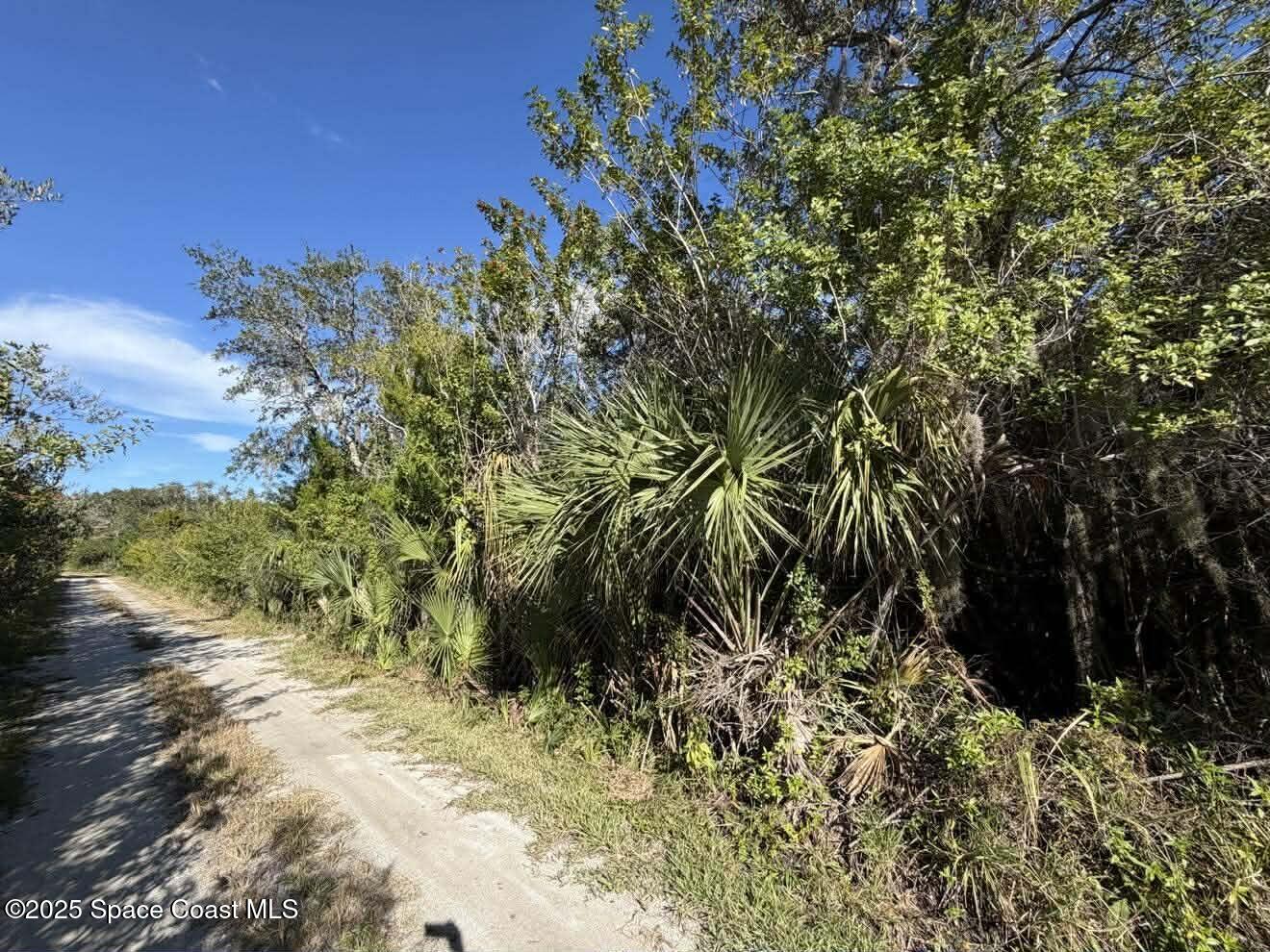 0 Hammock Road Mims, FL 32754 - Photo 25 of 35 597142813_883299977526991_38214161262678