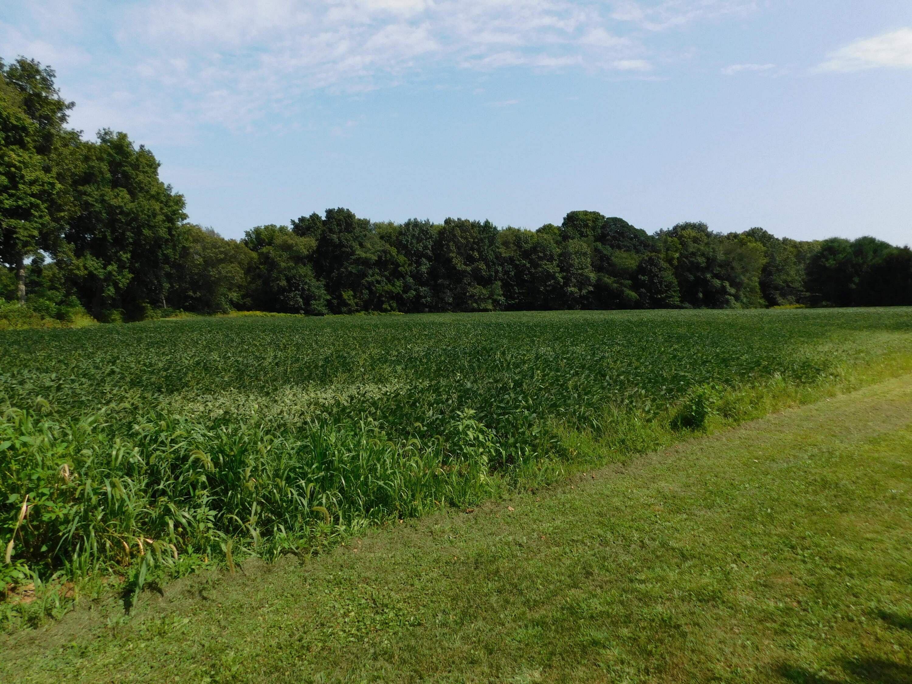 0 South Forrester Road La Porte, IN 46350 - Photo 8 of 12 3000x2250