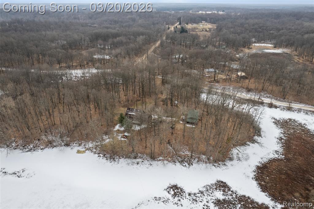 7207 Gurd Road Hastings, MI 49058 - Photo 36 of 50 Gallery Image 36
