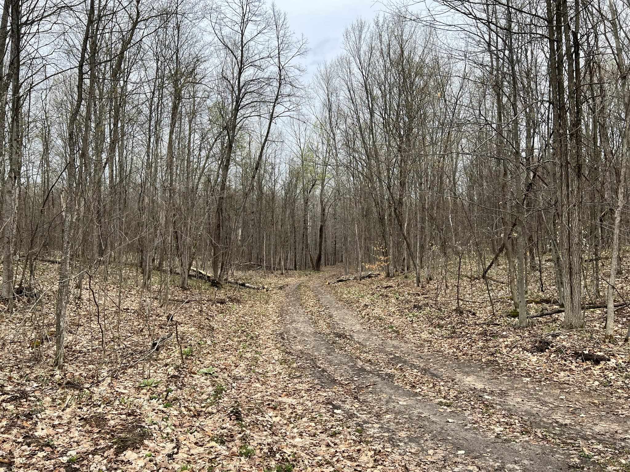333 West Johnson Road Manton, MI 49663 - Photo 31 of 31