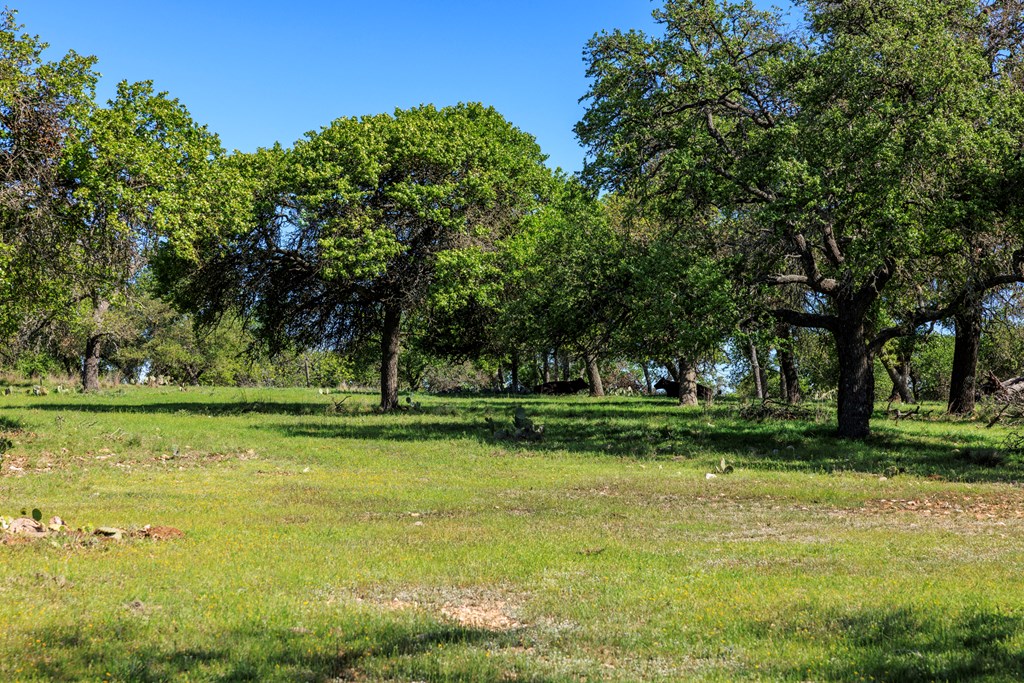 283 Dally Road, Unit 14 Comfort, TX 78013 - Photo 8 of 12 Gallery Image 8