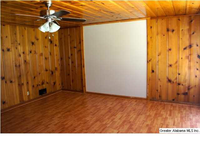 1060 Peaceful Valley Road Eastaboga, AL 36260 - Photo 9 of 22