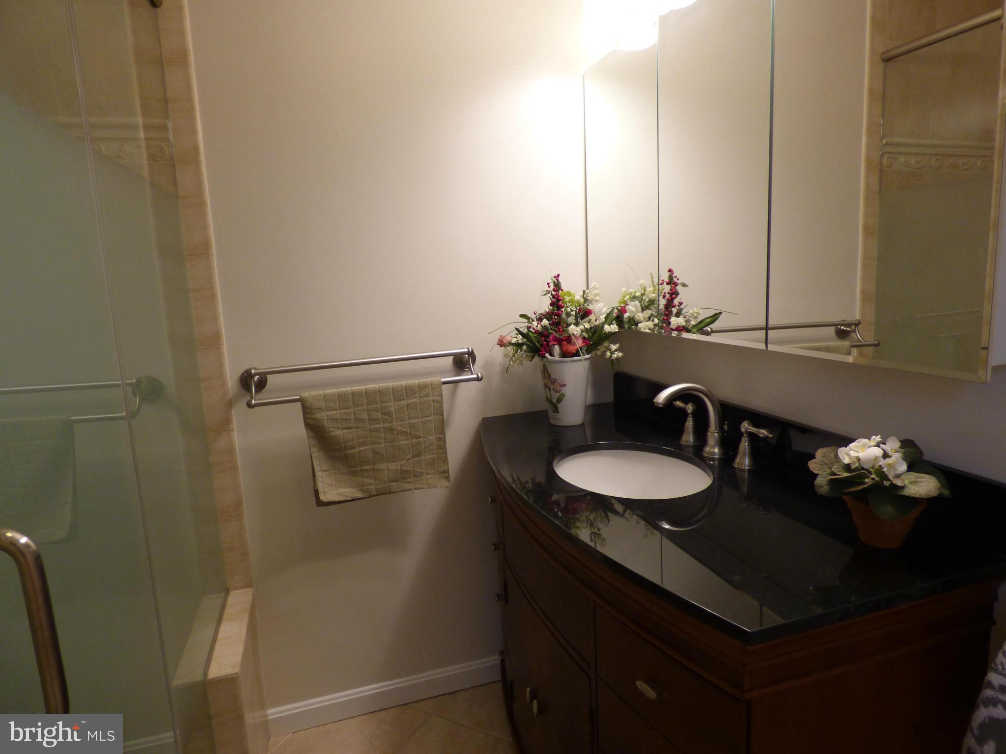 9228 Gue Road Damascus, MD 20872 - Photo 16 of 30 a bathroom with a sink and a mirror