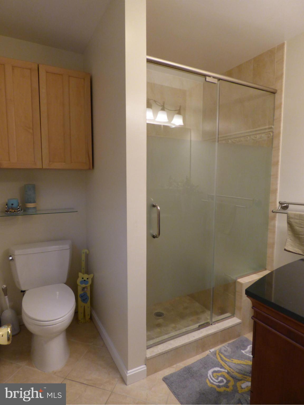 9228 Gue Road Damascus, MD 20872 - Photo 17 of 30 a bathroom with a toilet and a shower