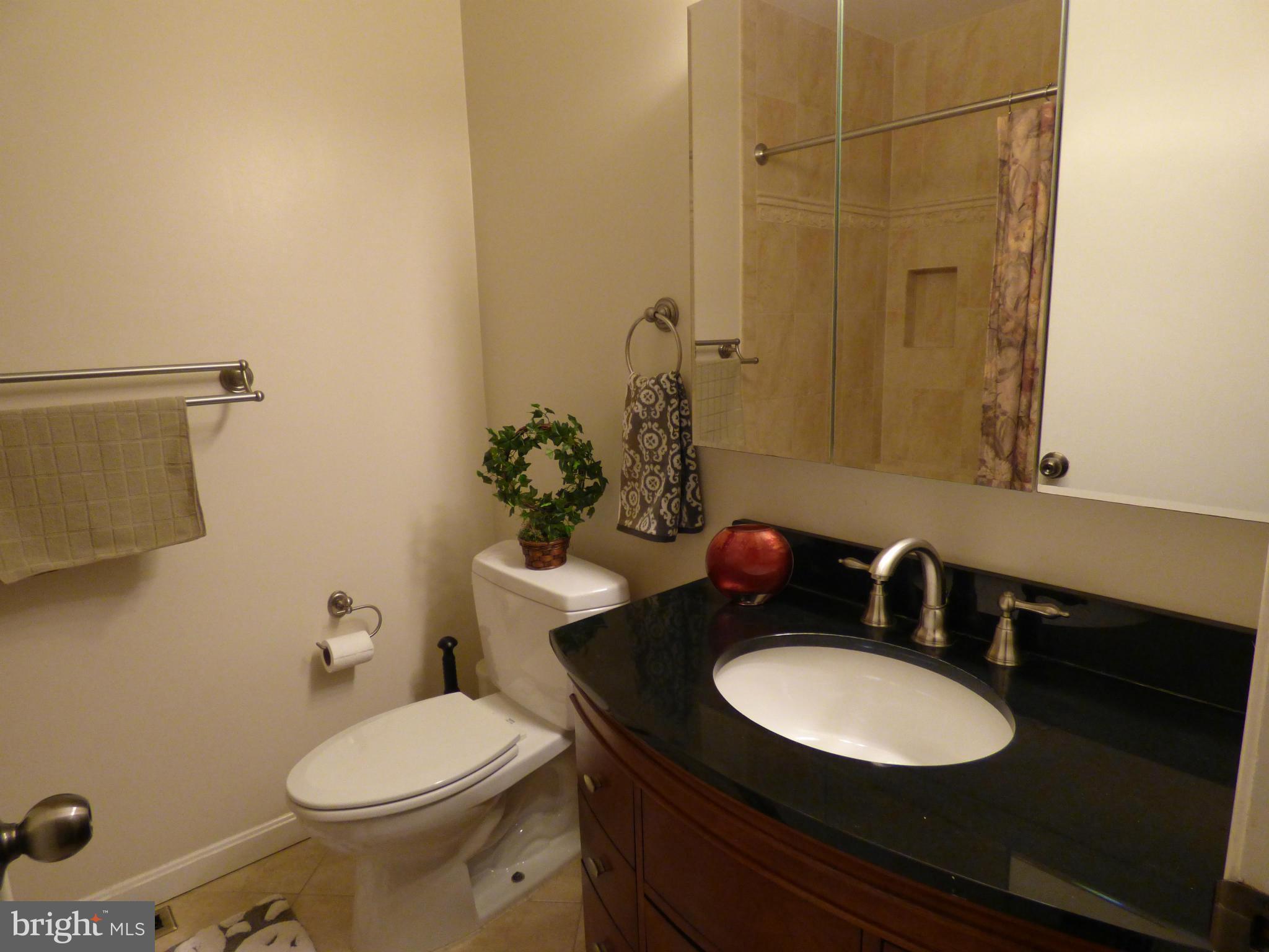 9228 Gue Road Damascus, MD 20872 - Photo 20 of 30 a bathroom with a granite countertop sink and a mirror