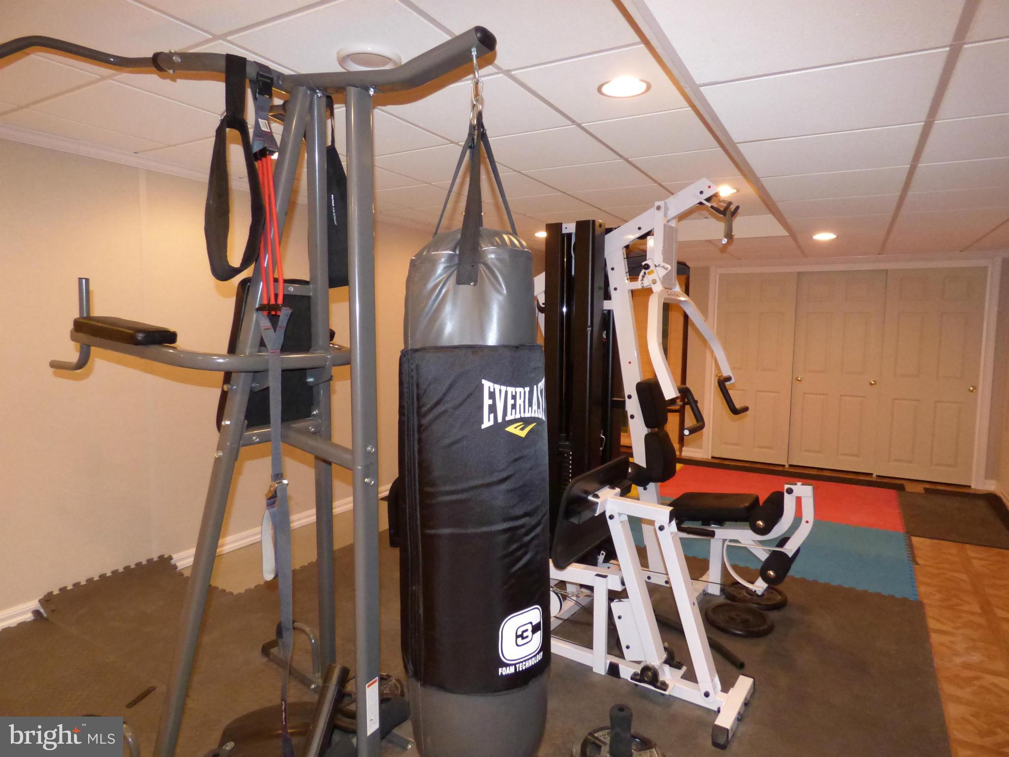 9228 Gue Road Damascus, MD 20872 - Photo 24 of 30 a view of a room with gym equipment