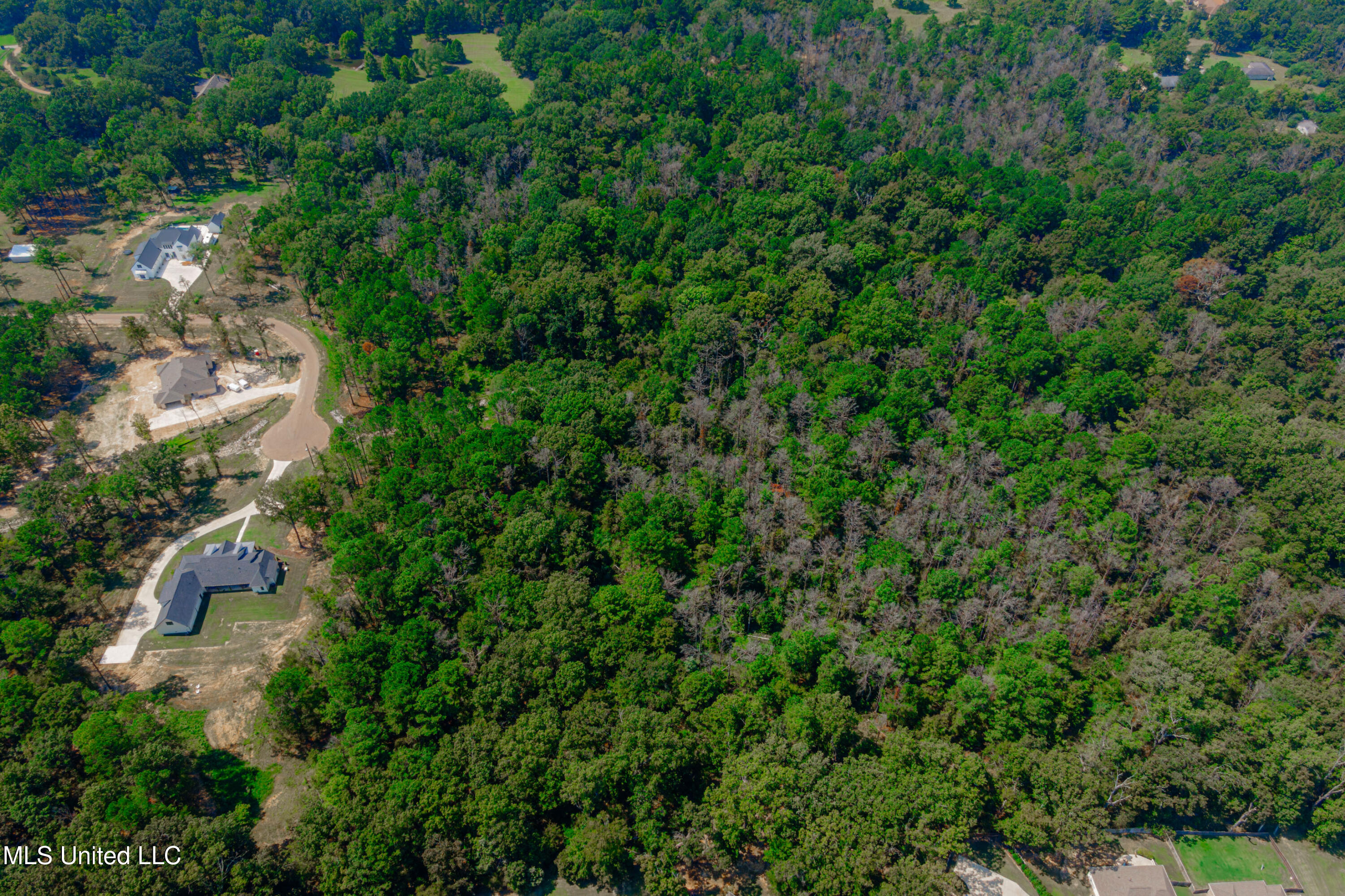 175 Hunter's Cove Madison, MS 39110 - Photo 4 of 10 DJI_0118