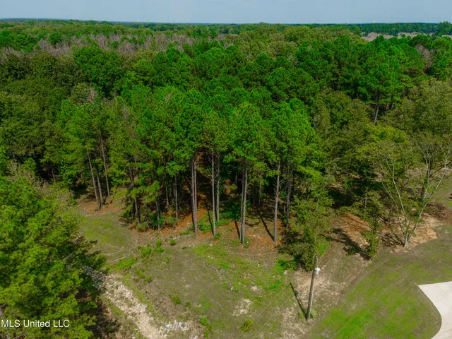 $218,700 | 175 Hunter's Cove, Madison, MS 39110