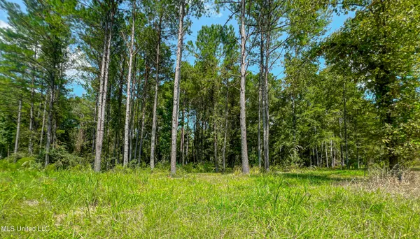 $218,700 | 175 Hunter's Cove, Madison, MS 39110