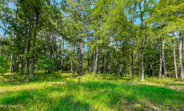 $218,700 | 175 Hunter's Cove, Madison, MS 39110