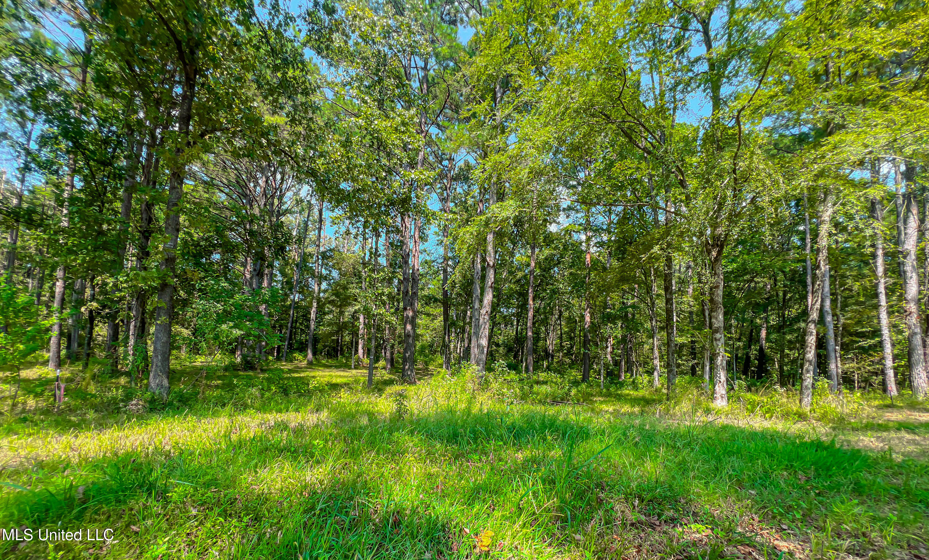 175 Hunter's Cove Madison, MS 39110 - Photo 8 of 10 IMG_7176