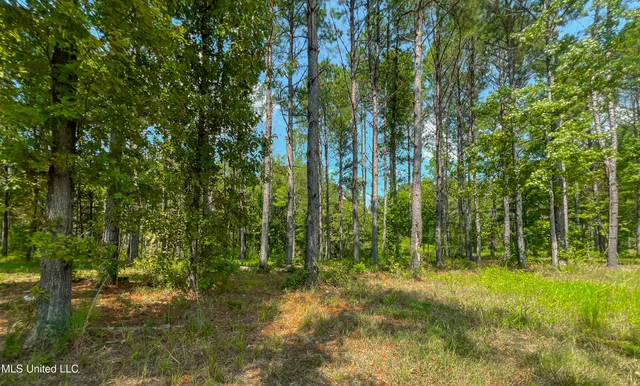 $218,700 | 175 Hunter's Cove, Madison, MS 39110