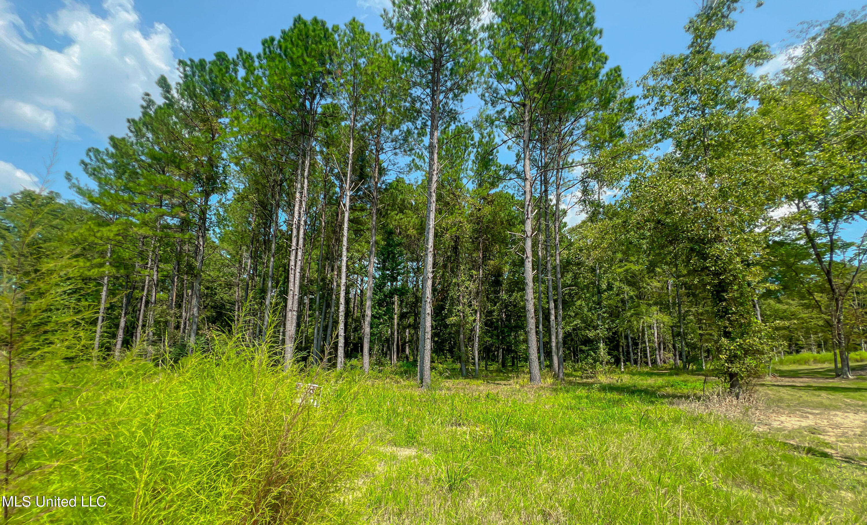 175 Hunter's Cove Madison, MS 39110 - Photo 10 of 10 IMG_7181