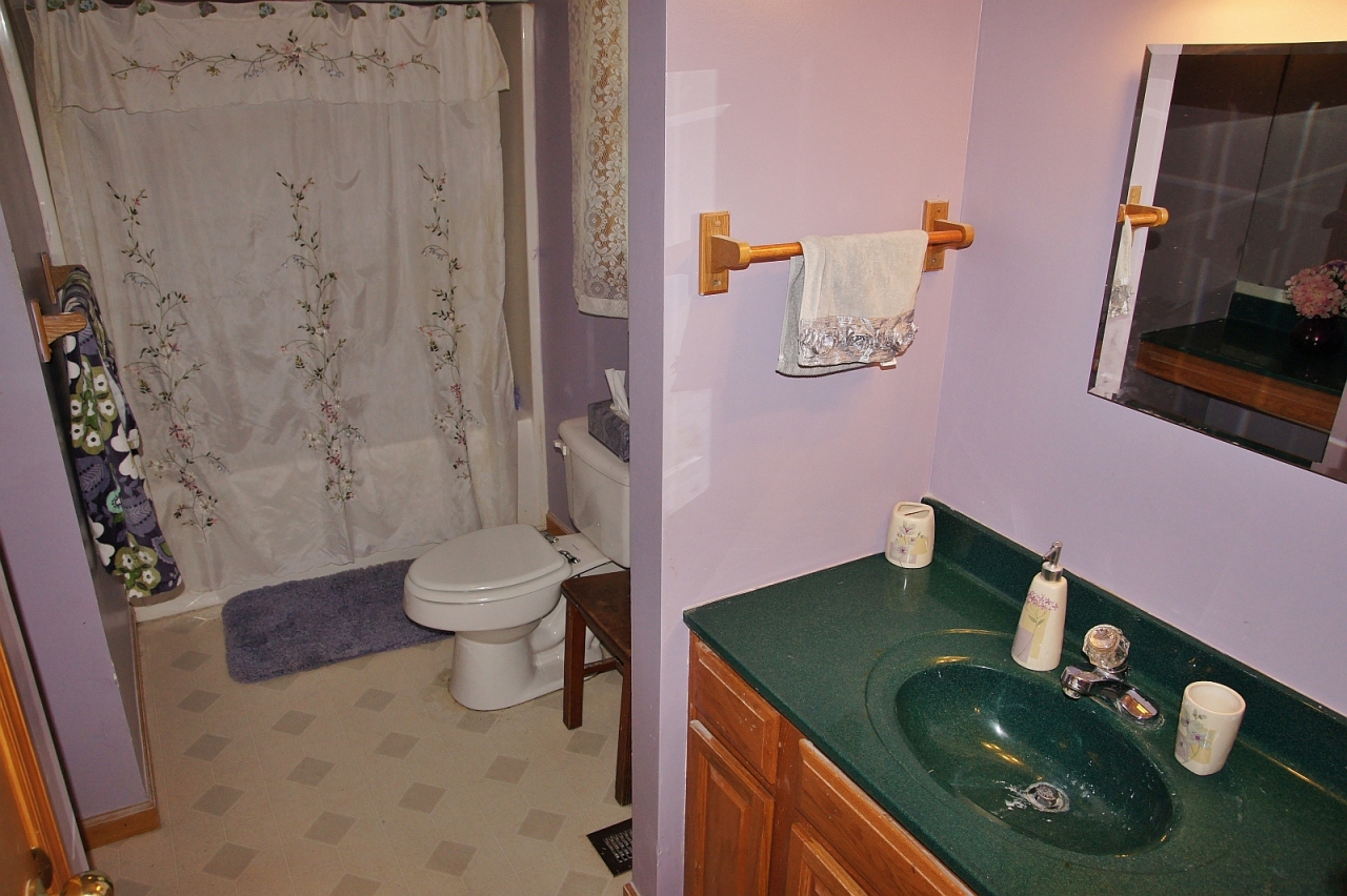 4906 Stanley Farm Road Salem, VA 24153 - Photo 10 of 20 Bath