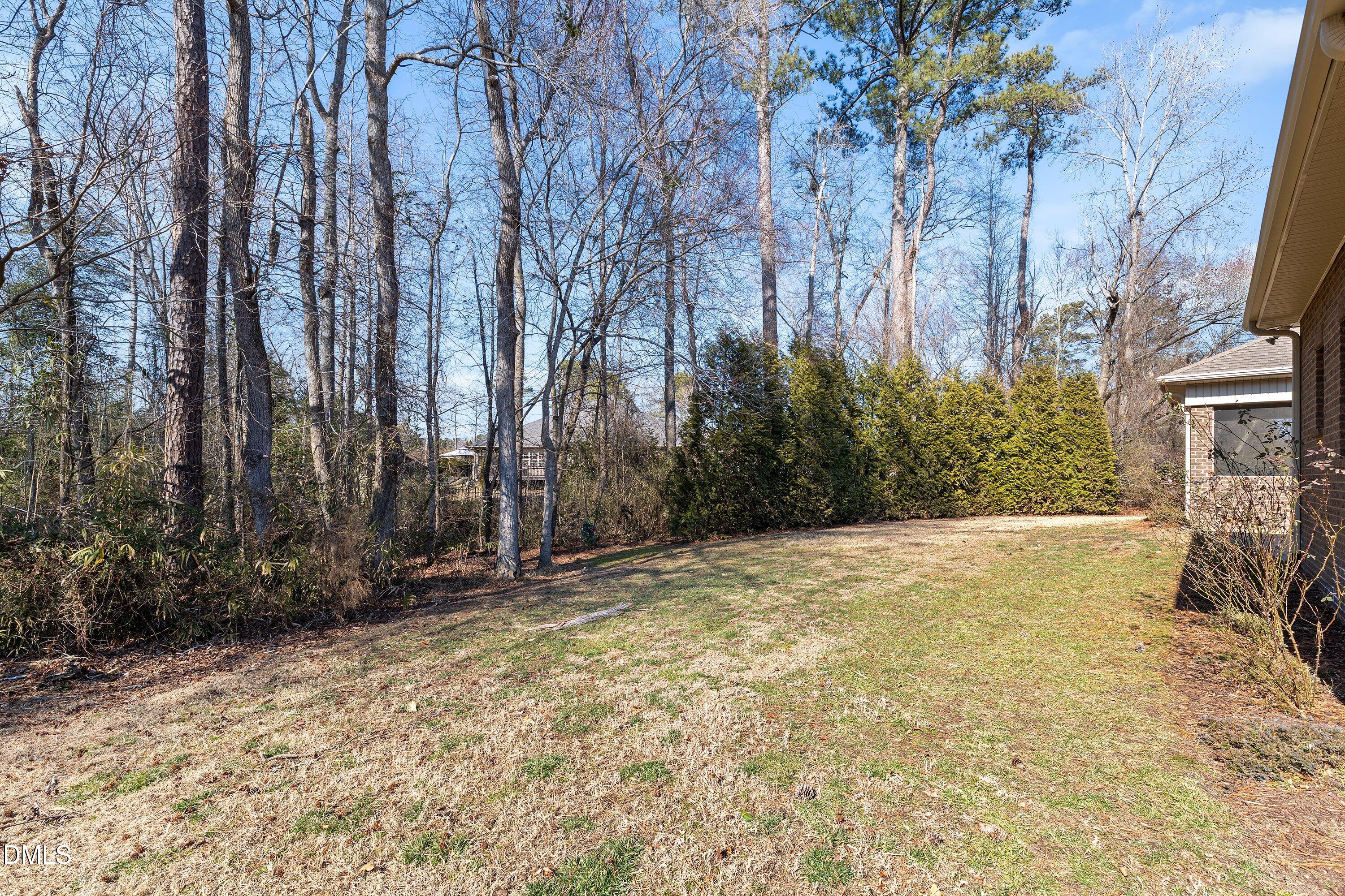 80 Meadow Wood Lane Willow Spring, NC 27592 - Photo 48 of 56 50-80 Meadow Wood Ln_2384