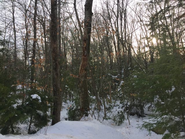 Lot 175 Elaine Road Middleton, NH 03887 - Photo 2 of 3