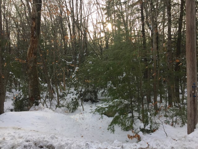 Lot 175 Elaine Road Middleton, NH 03887 - Photo 3 of 3