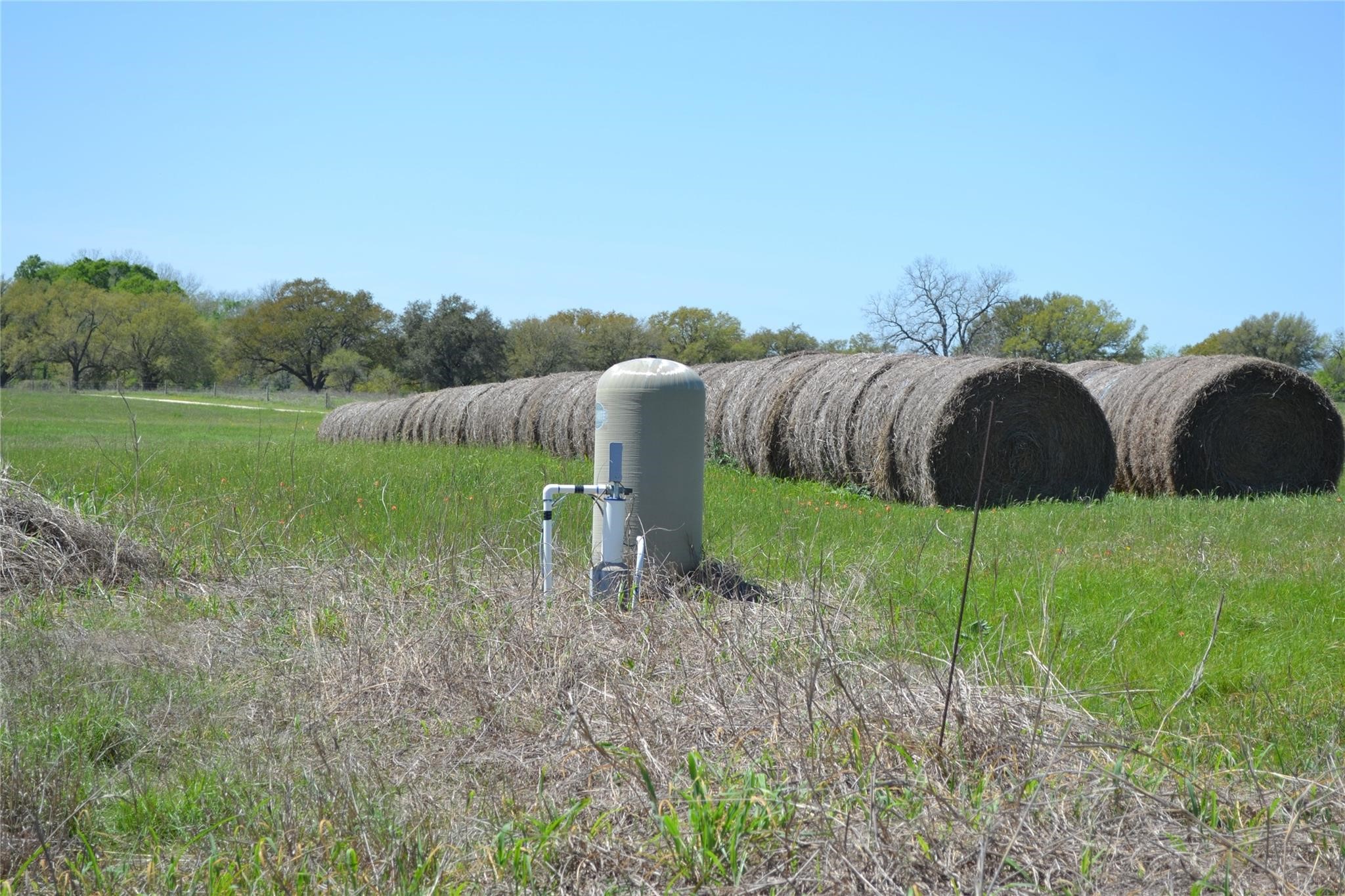 5568 Bleiblerville Road Bleiblerville, TX 78931 - Photo 10 of 12