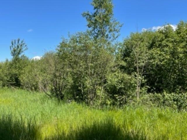 0 North Bowman Road Merritt, MI 49667 - Photo 22 of 24