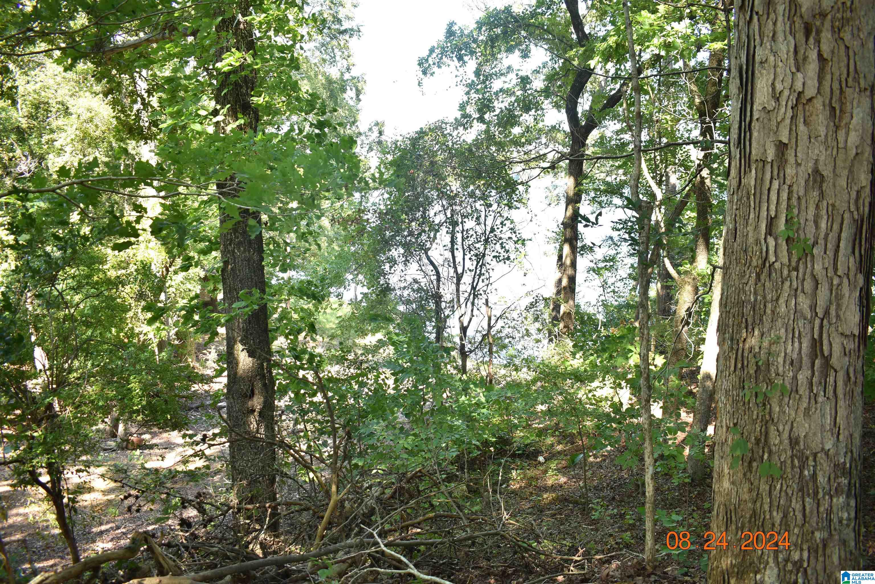 2868 Indian Shoals Road Wilsonville, AL 35186 - Photo 34 of 35