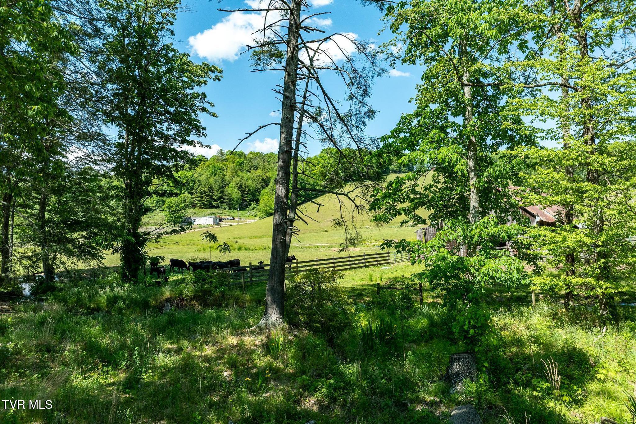 517 Mill Creek Road Mountain City, TN 37683 - Photo 36 of 52 517 Mill Creek Road (39 of 52)