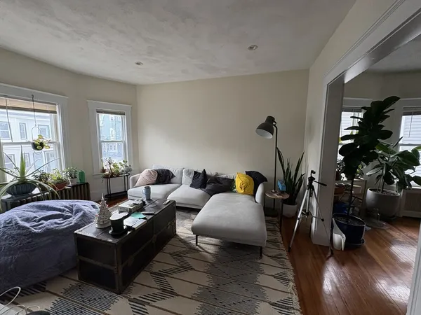 a living room with furniture and a potted plant