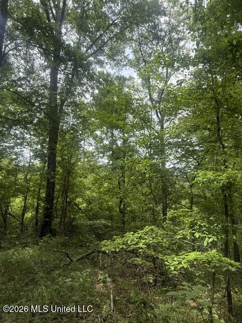 West Grady Road Eupora, MS 39744 - Photo 11 of 12 IMG_7081