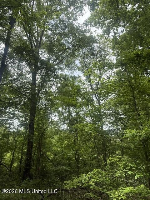 West Grady Road Eupora, MS 39744 - Photo 12 of 12 IMG_7082